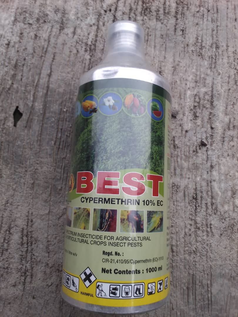Best Cypermethrin 10%  Insecticide For Cocoa- 1 Litre