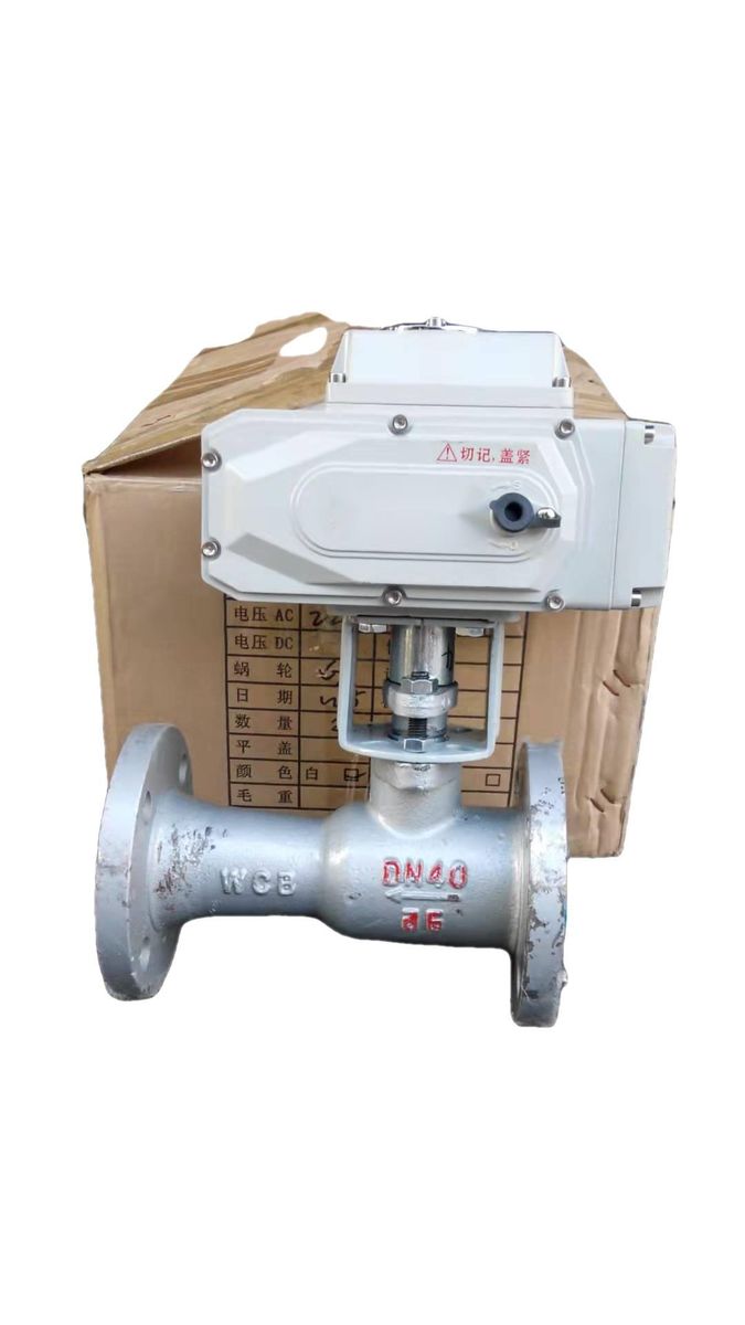 DN50 Adjustable Electric Discharge Valve