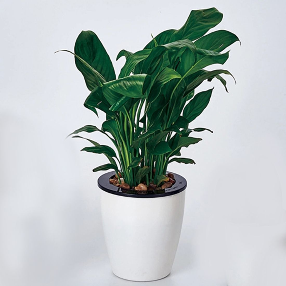 Lazy Flower Pots Automatic Water-absorbing Hydroponic Potted Plants Circular Resin Plastic Flower Pots Double-layer Design Self Watering Planter , Size: 9*6*9cm