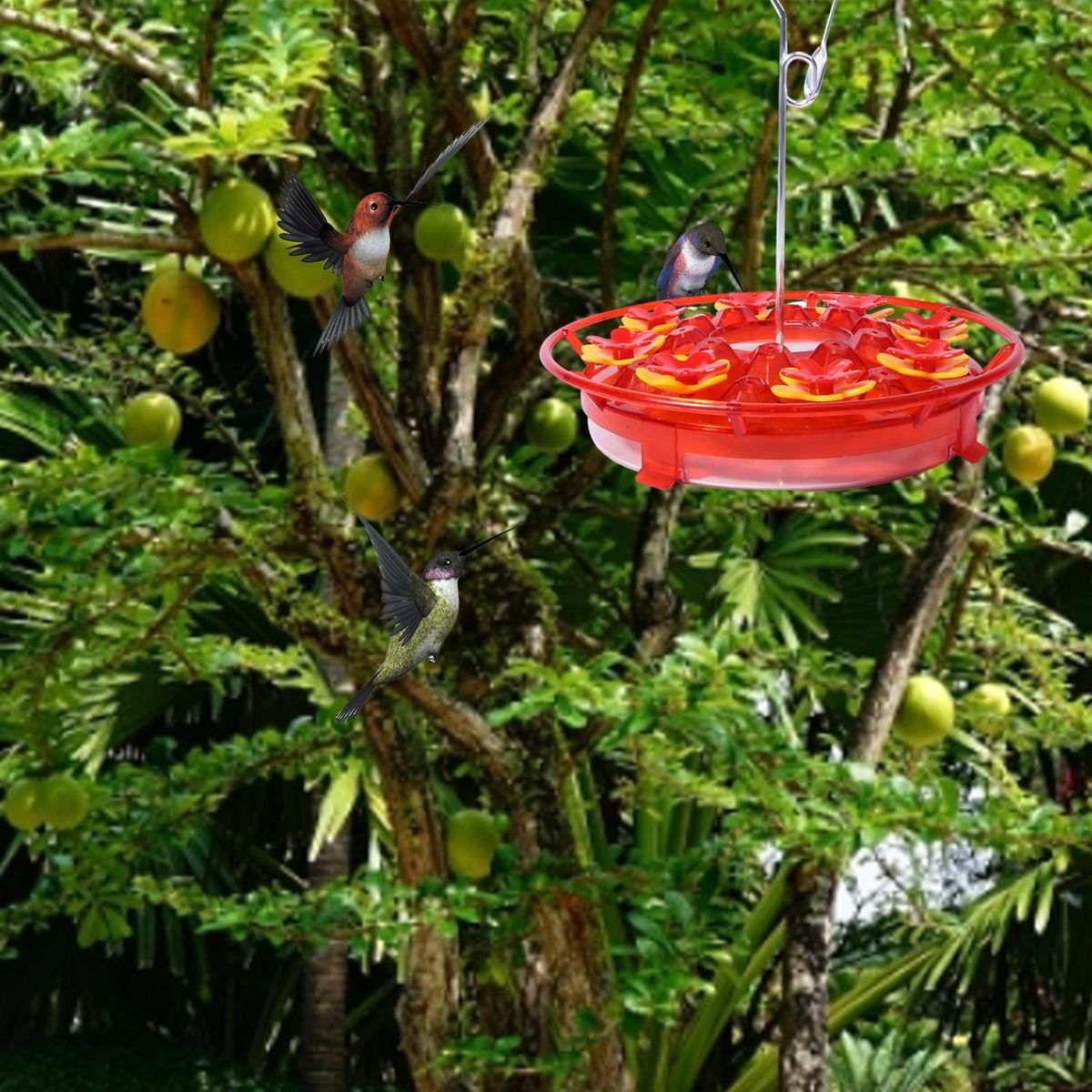 Leak-proof Hummingbird Feeder Floral View Hanging for Outdoors Red