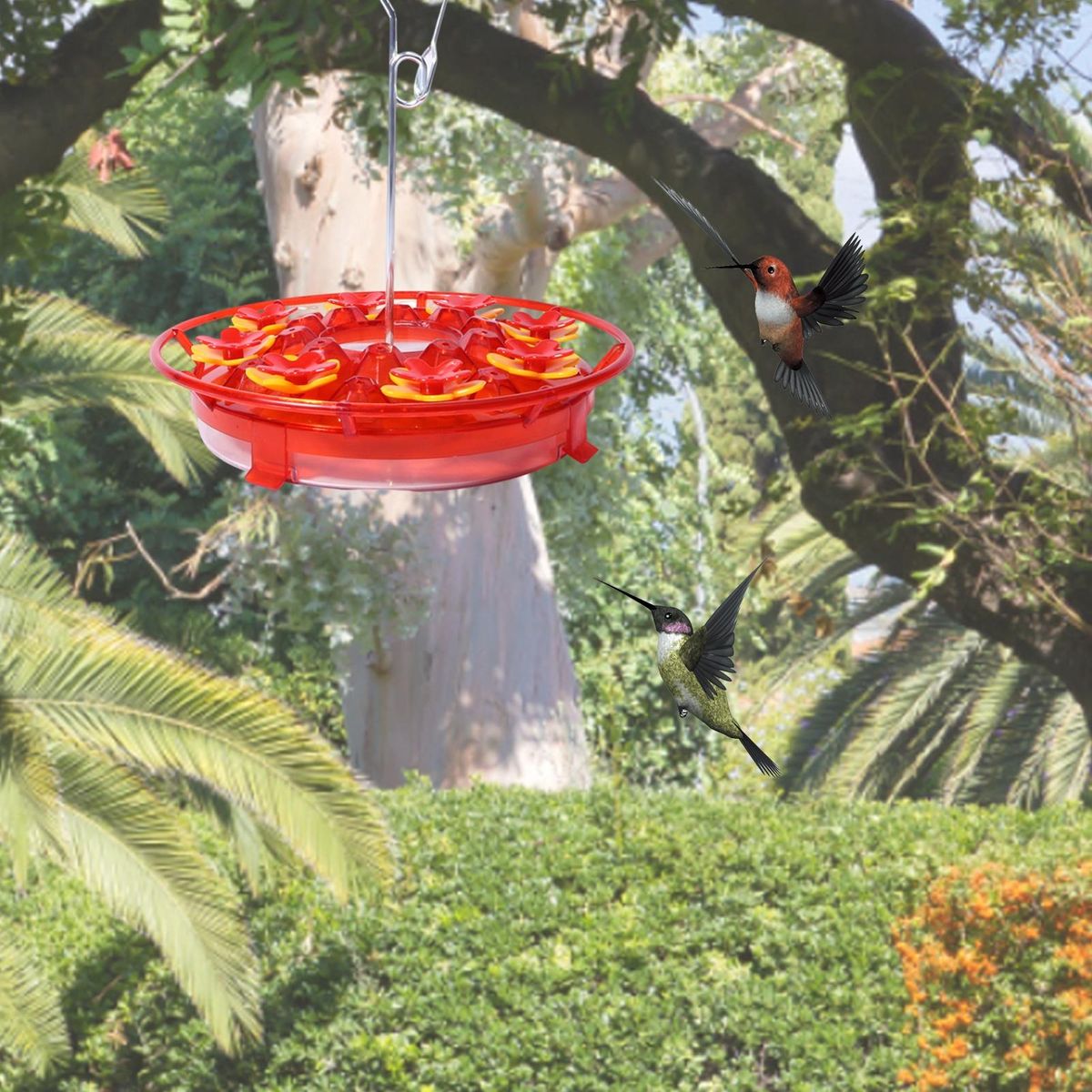 Leak-proof Hummingbird Feeder Floral View Hanging for Outdoors Red