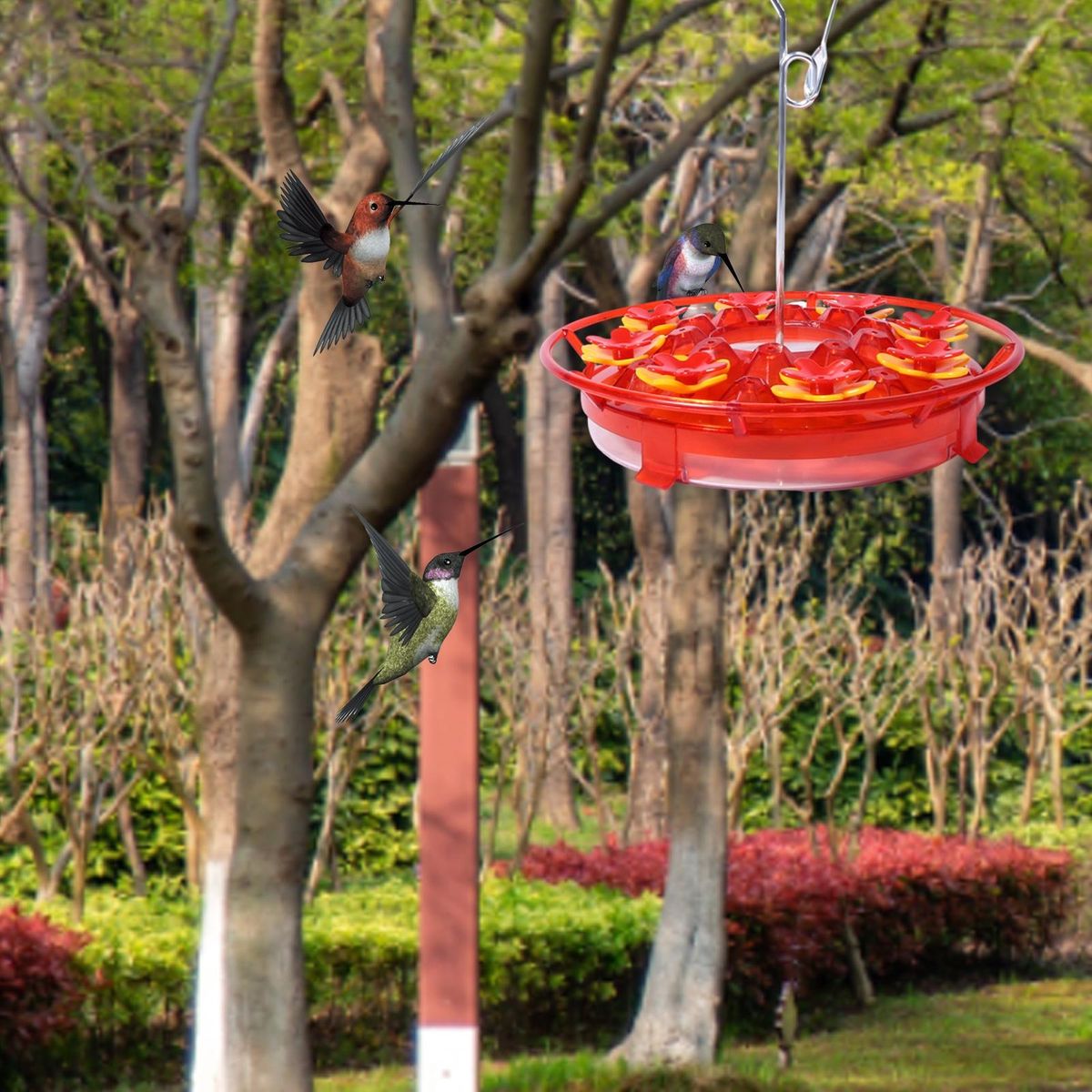 Leak-proof Hummingbird Feeder Floral View Hanging for Outdoors Red