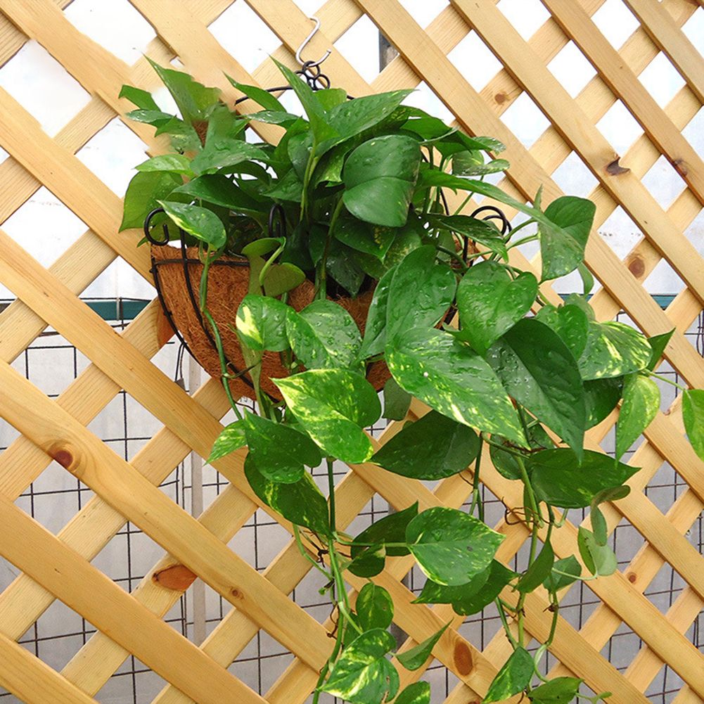 Wicker Rattan Flower Basket Plant Pot Holder Home Wall-