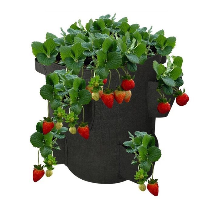 Strawberry Grow Bags For Plant Hanging Plant Grow Pots Felt Planting Bag-green