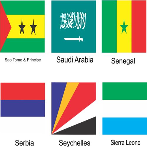 A 2-PC Pair Mini Polyester One Country UN Member N-S/ Nigeria Table Top Flag Gold Base Stick Pole
