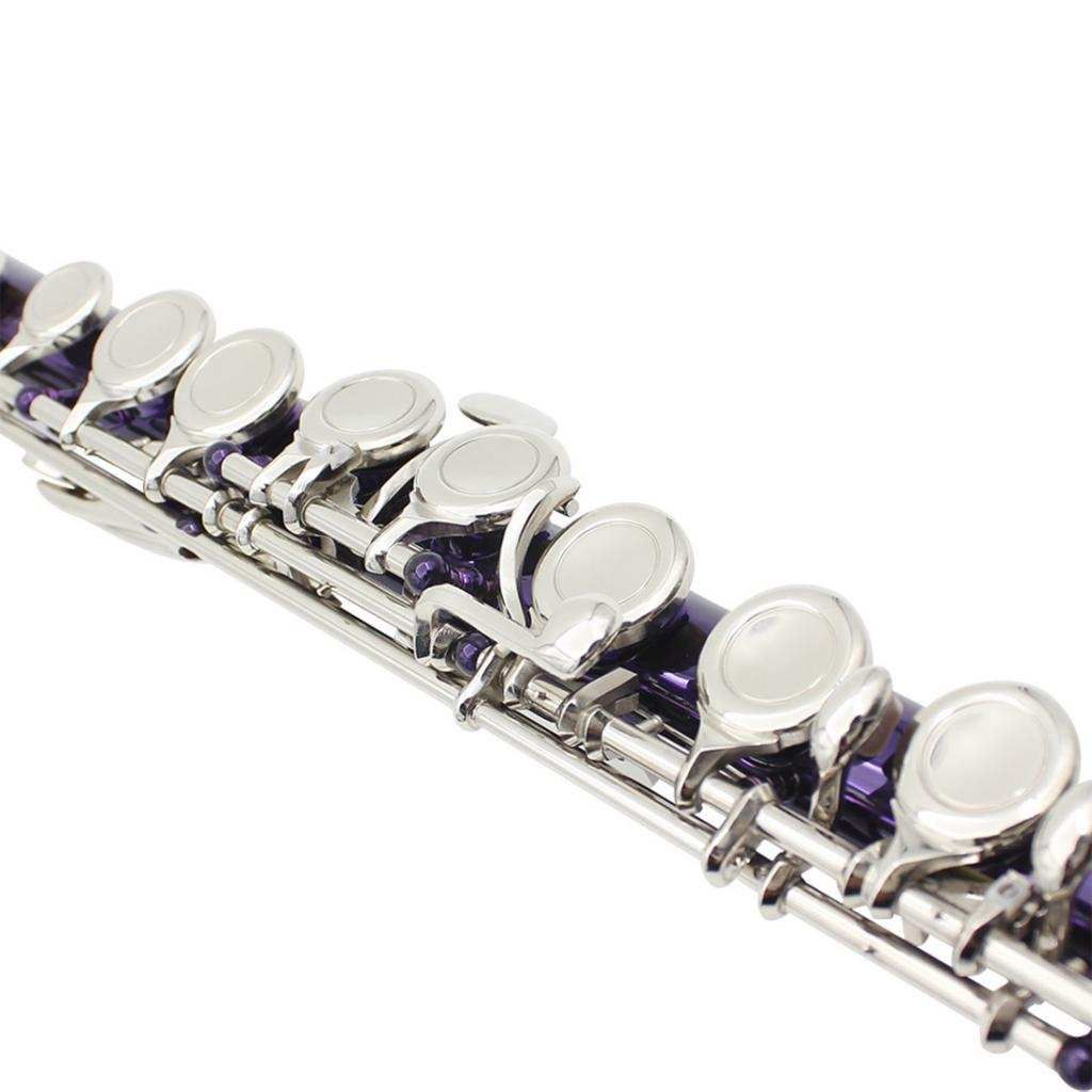Exquisite Flute Set 16 Closed Holes C Key Flute For Flute Purple