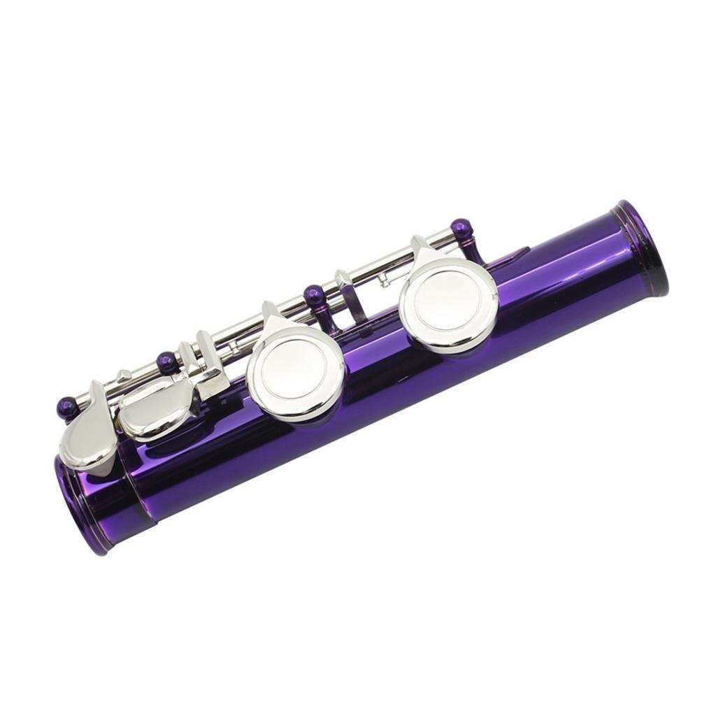 Exquisite Flute Set 16 Closed Holes C Key Flute For Flute Purple