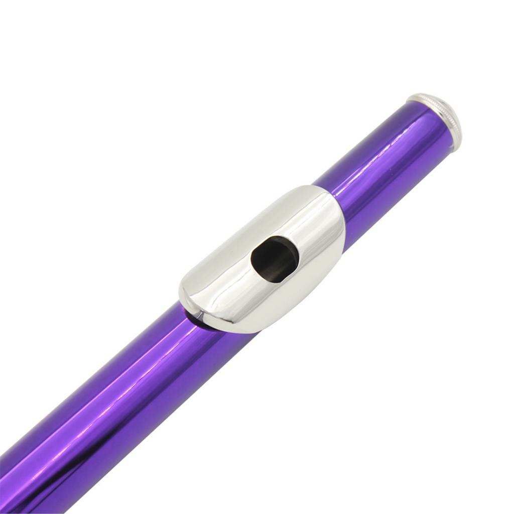 Exquisite Flute Set 16 Closed Holes C Key Flute For Flute Purple