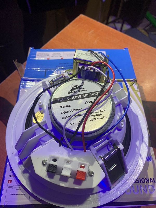 Ceiling Speaker - 20Watts