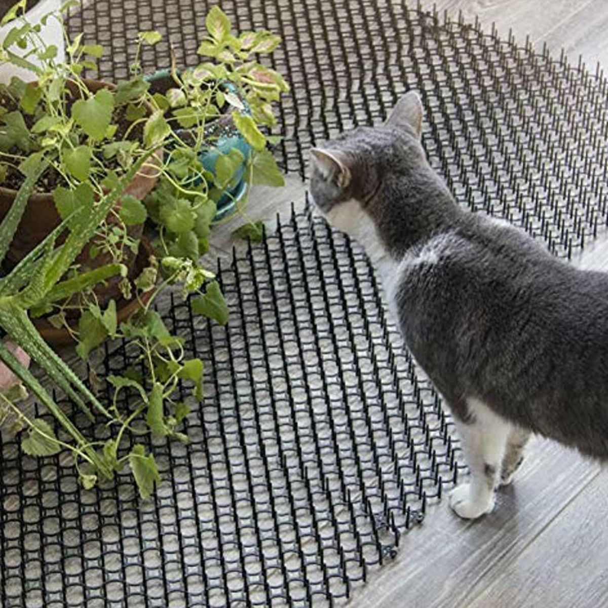 10Pcs Repellent Mats + 10Pcs U Shape Nails Garden Prickle Strip Dig Stop Cat Dog Repellent Deterrent Mat Spike Garden Supplies