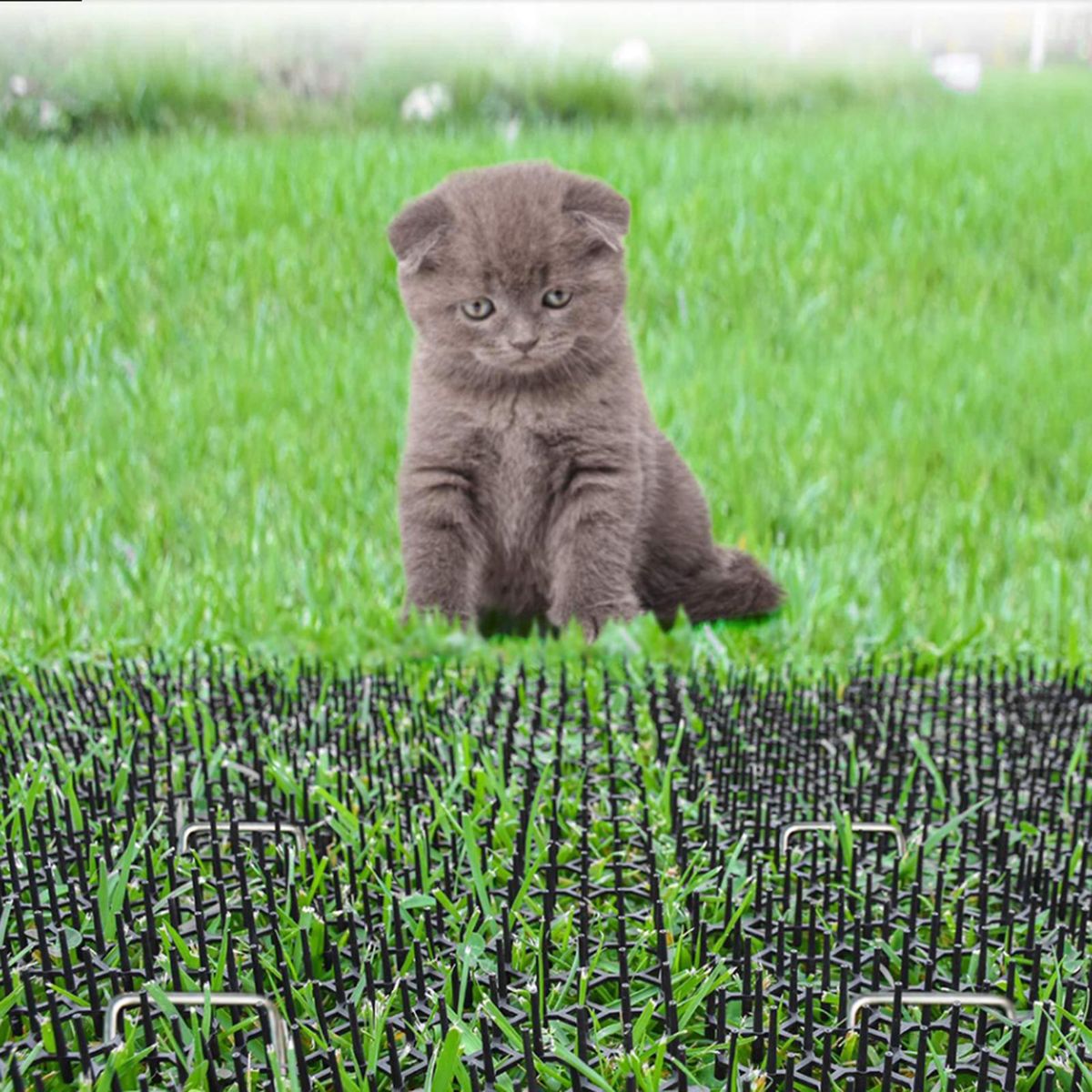 10Pcs Repellent Mats + 10Pcs U Shape Nails Garden Prickle Strip Dig Stop Cat Dog Repellent Deterrent Mat Spike Garden Supplies