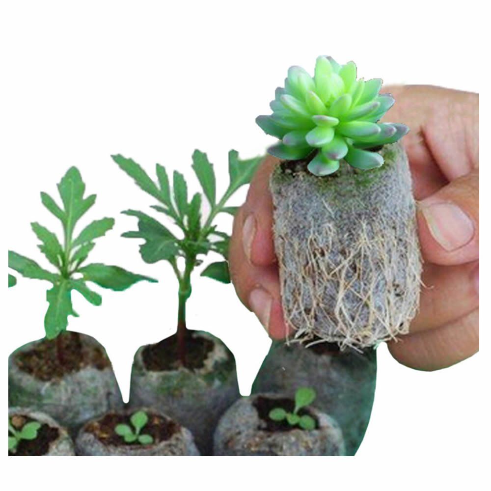 100 Pieces Biodegradable Non-Woven Nursery Bags Plant Grow Bags Fabric Seedling Pots