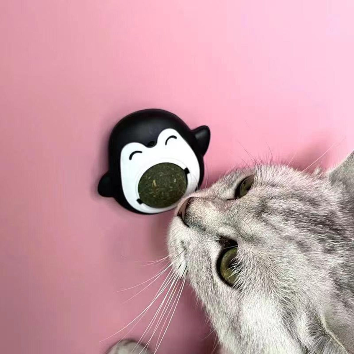 3Pcs Cat Toys Promote Digestion Kitten Catnips Balls Black