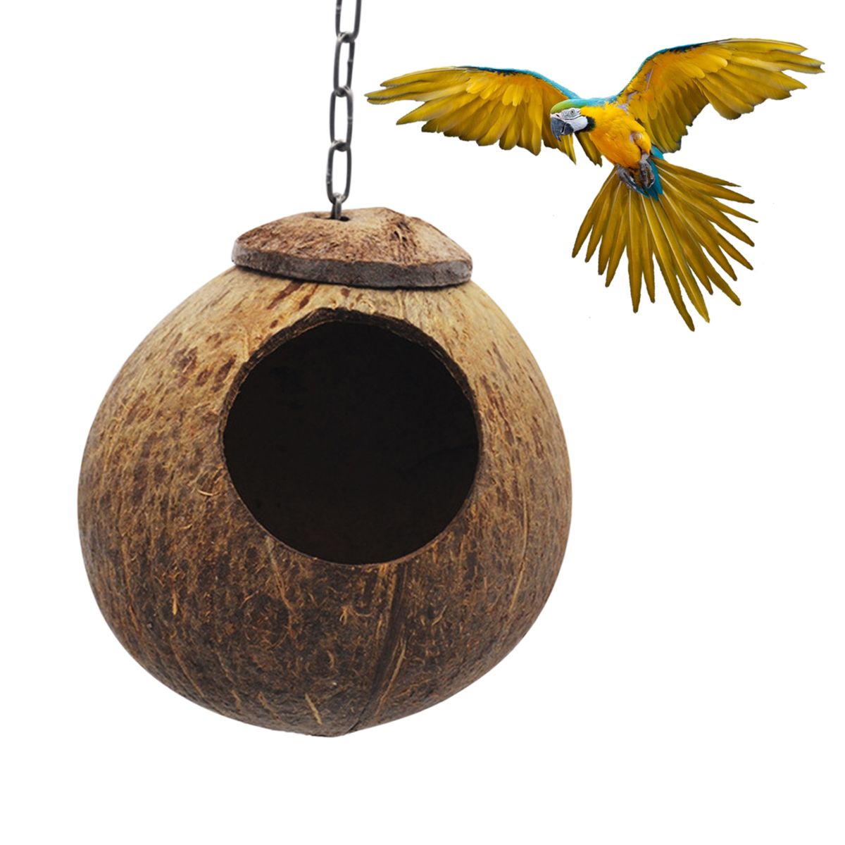 Coconut Bird Hut With Opening Coco Shell Bird House For