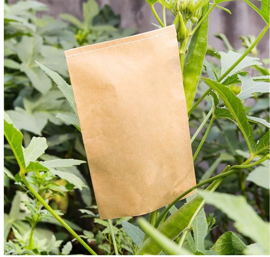 100Pcs Kraft Paper Seed Protective Envelope Storage Bags