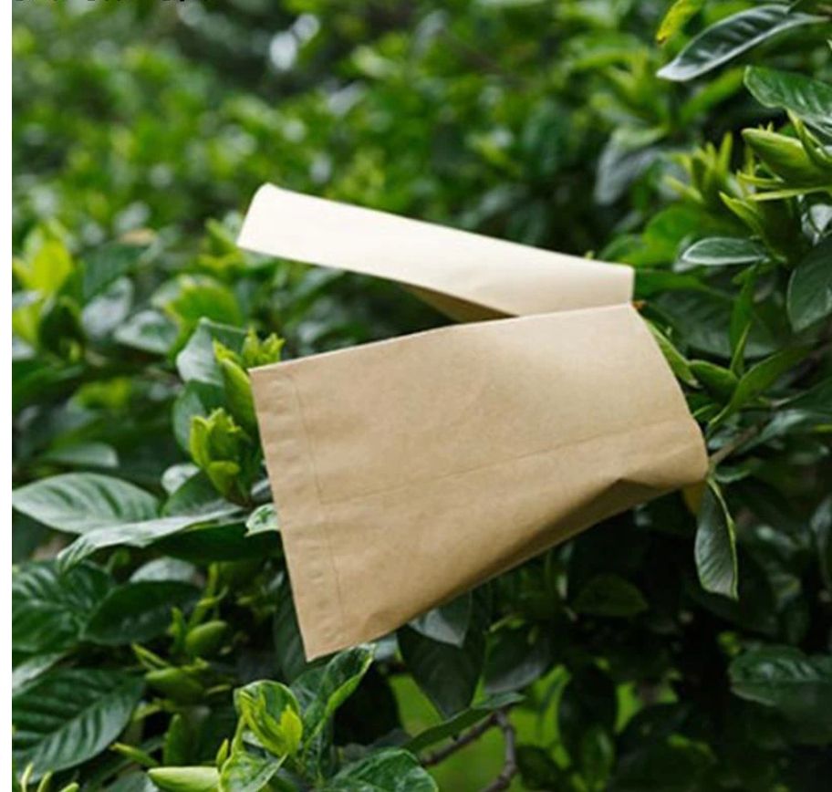 100Pcs Kraft Paper Seed Protective Envelope Storage Bags