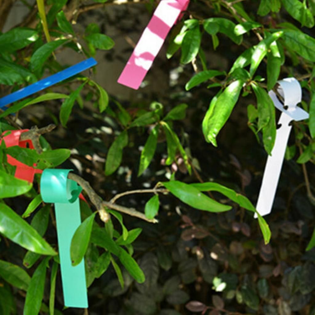 100Piece Colorful Plastic Plant Tree Tag Nursery Vegetables Flower