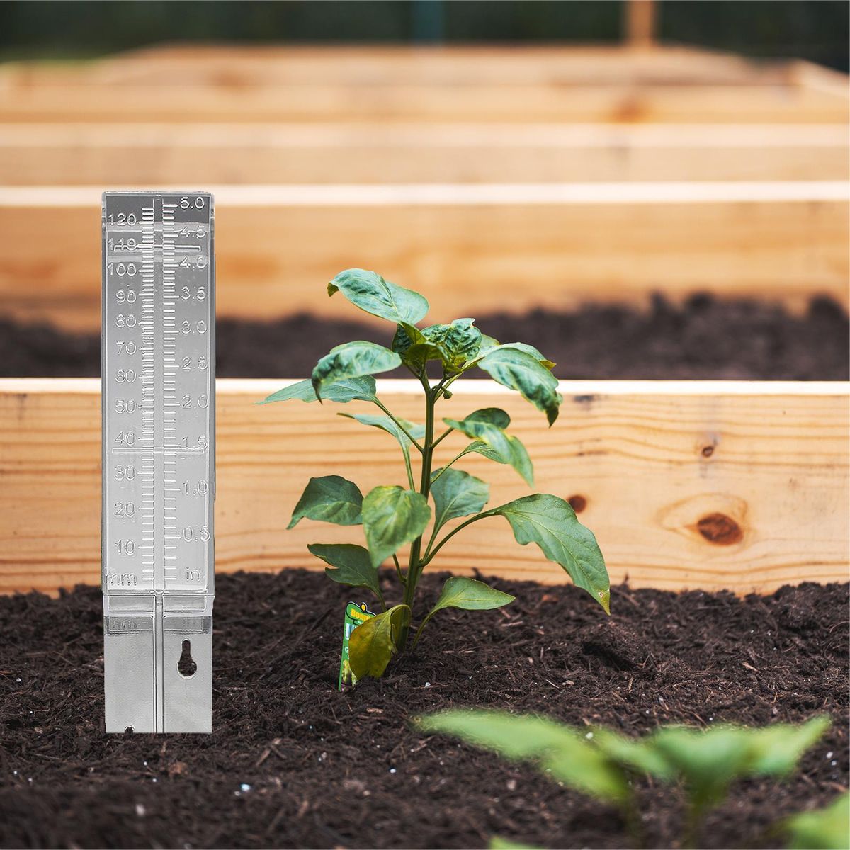 5 Inch Rain Gauge Plastic Clear Rain Water Meter for Lawn Yard Garden Outdoor Home