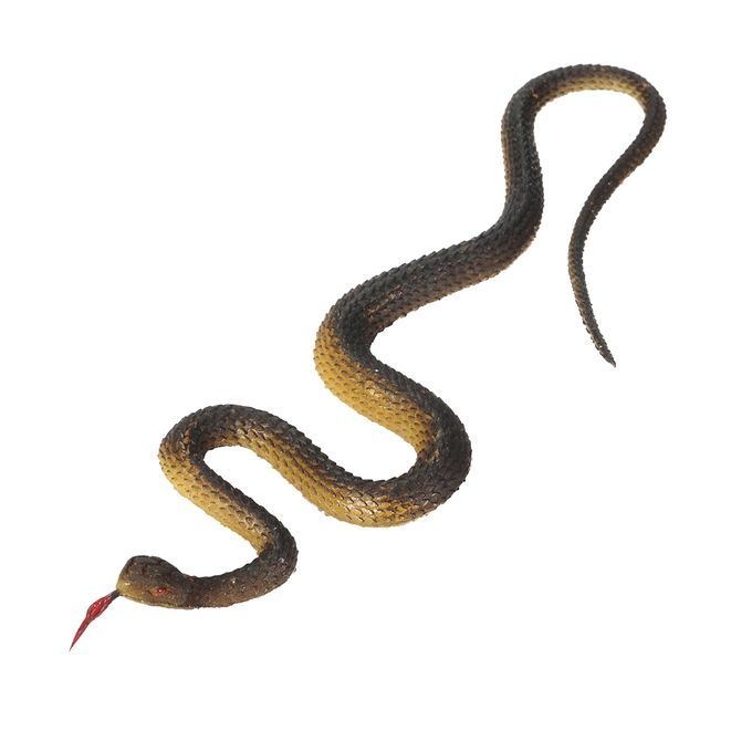 Simulation Black Rubber Snake Snake Garden Props Tricky