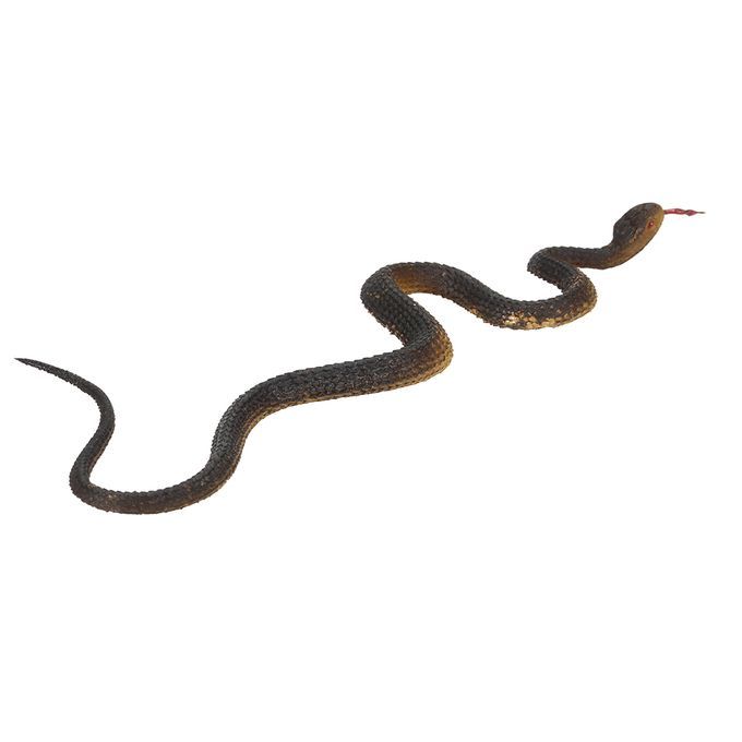 Simulation Black Rubber Snake Snake Garden Props Tricky