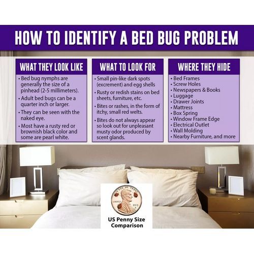 Bed Bug Killer 473ml Ready To Use Spray