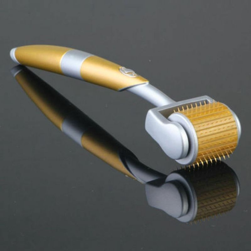 Mini Anti Ageing Needle Derma Roller Pen Titanium Skin
