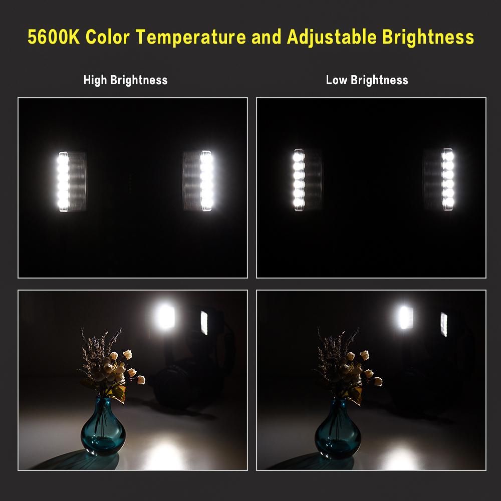 YONGNUO YN24EX Dual Head Macro Flash Camera Speedlite GN18 TTL Auto/ Manual Flash 5600K 3s Recycle Time with 7pcs Adapter Rings Replacement for Sony A7III A7IV A7R III A7S III A7C A9II A6600 A6500 A6300