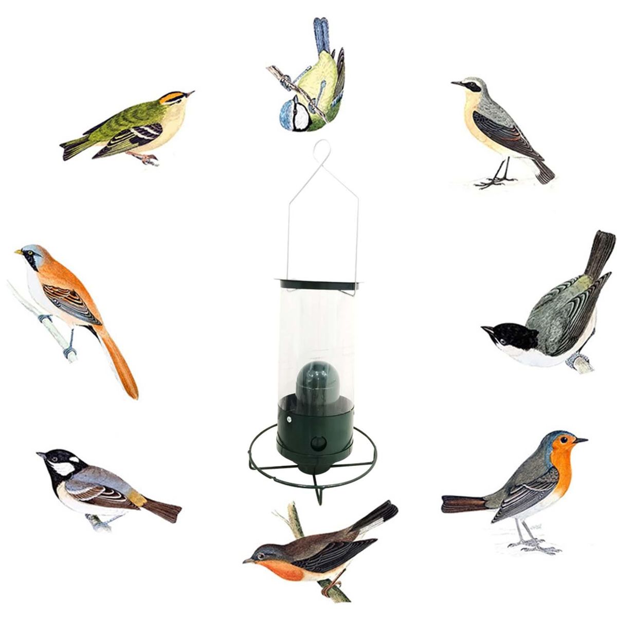 Bird Food Dispenser Garden Parrot Canary Conure Finch Food Container