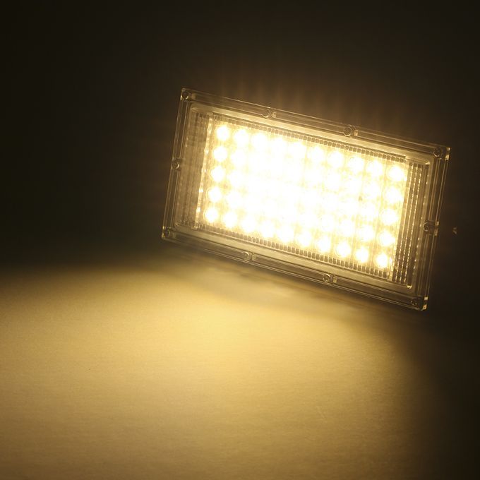 AC110V Portable 50W Energy Saving Outdoor Project-Light