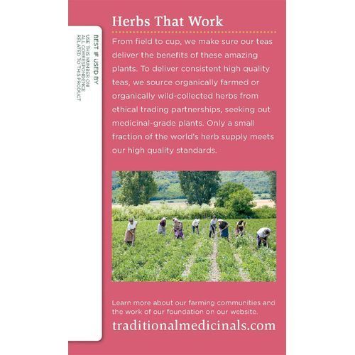 Medicinals Healthy Cycle, 16 Wrapped Tea Bags, 0.85 Oz (Raspberry Leaf)