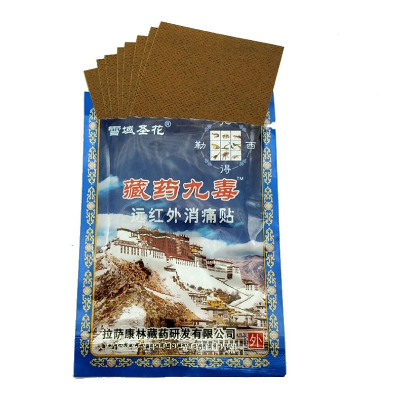 Relieving Venom Pain Arthritis Chinese Knee Joint Pain 24PCS Relieving Patch Rheumatoid Centipede/Spider/Scorpion/Wasp/Cobra