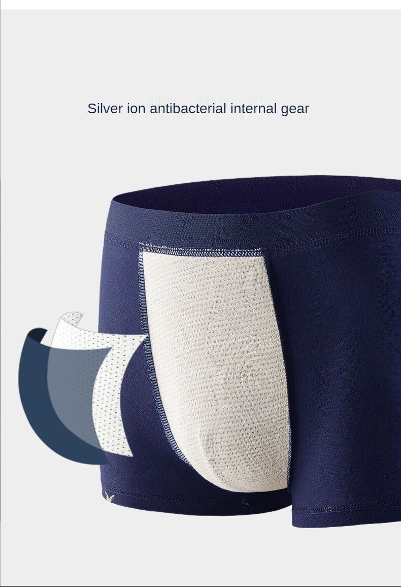 4 Pcs Antibacterial Men's Cotton Boxer Briefs