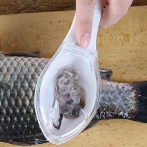 Mini Fish Scale Remover