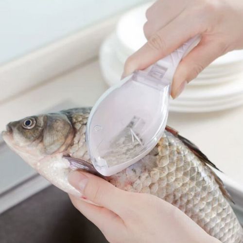 Mini Fish Scale Remover