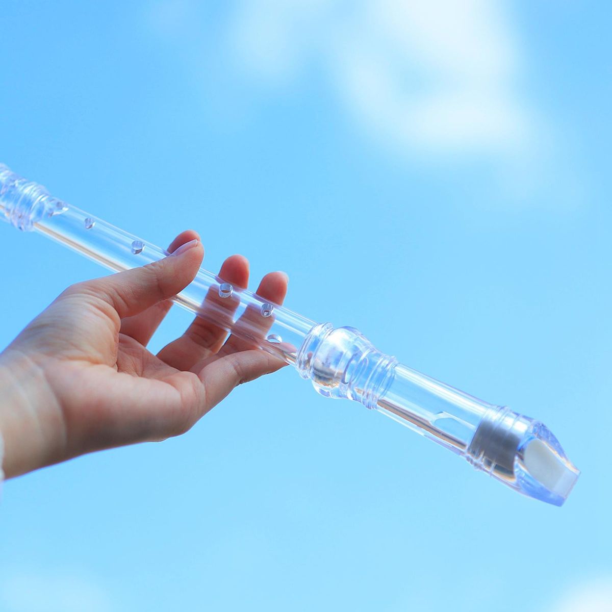 Binner On Soprano Recorder Long Flute Descant Instrument With Clear