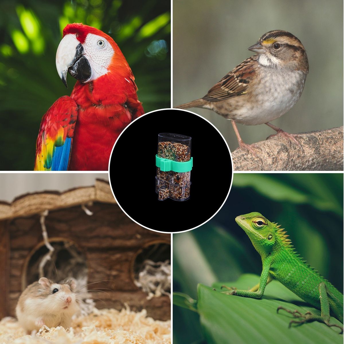 Automatic Bird Feeder For Cage Dry Food Dispenser Bird Seed
