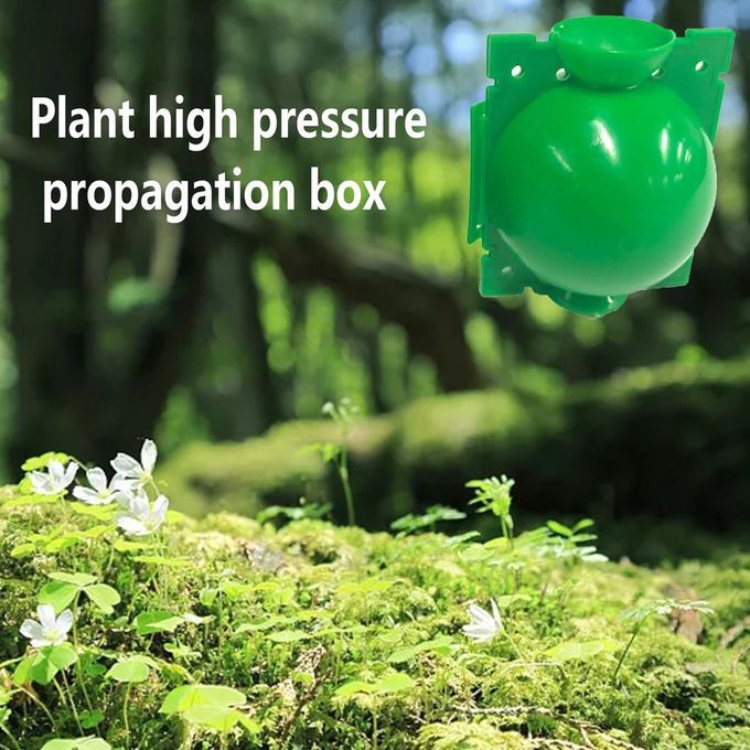 Plant Rooting Equipment High Pressure Propagation Ball Growing Breeding Box-green-S