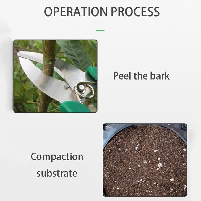 Portable Plant Rooting Grafting Rooting Growing  Ase Devi E Survival Rate-white-M