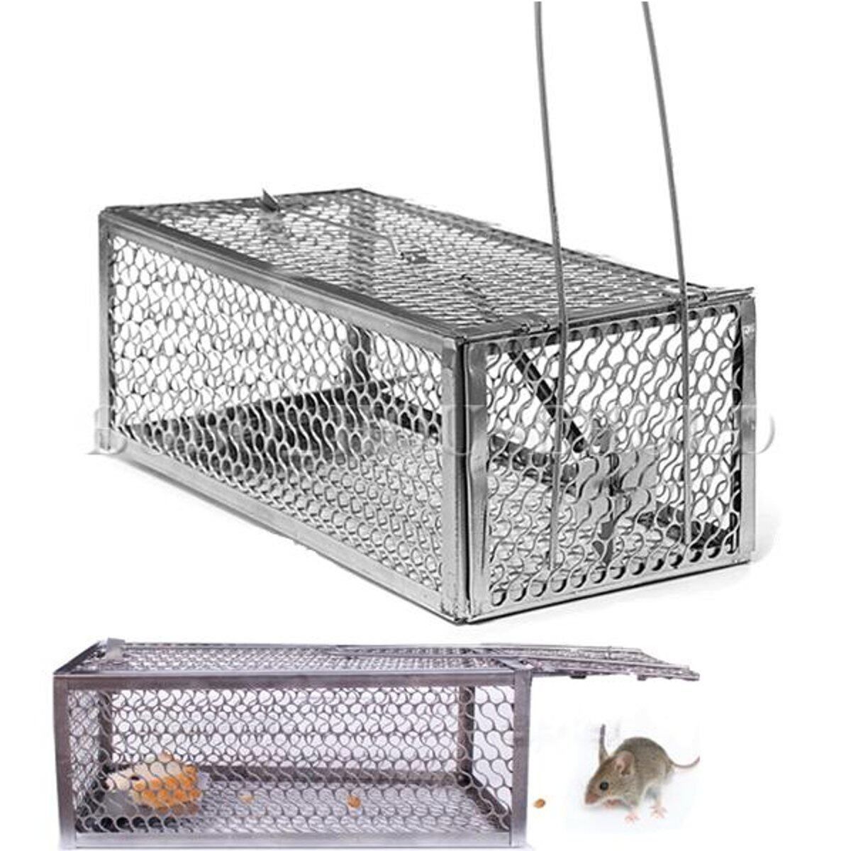Animal Rodent Mouse Rat Control Catch Pest Hamster Cage Mice Trap Humane Live US