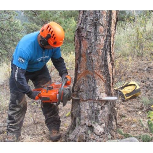 GASOLINE CHAINSAW MACHINE 20" 52cc