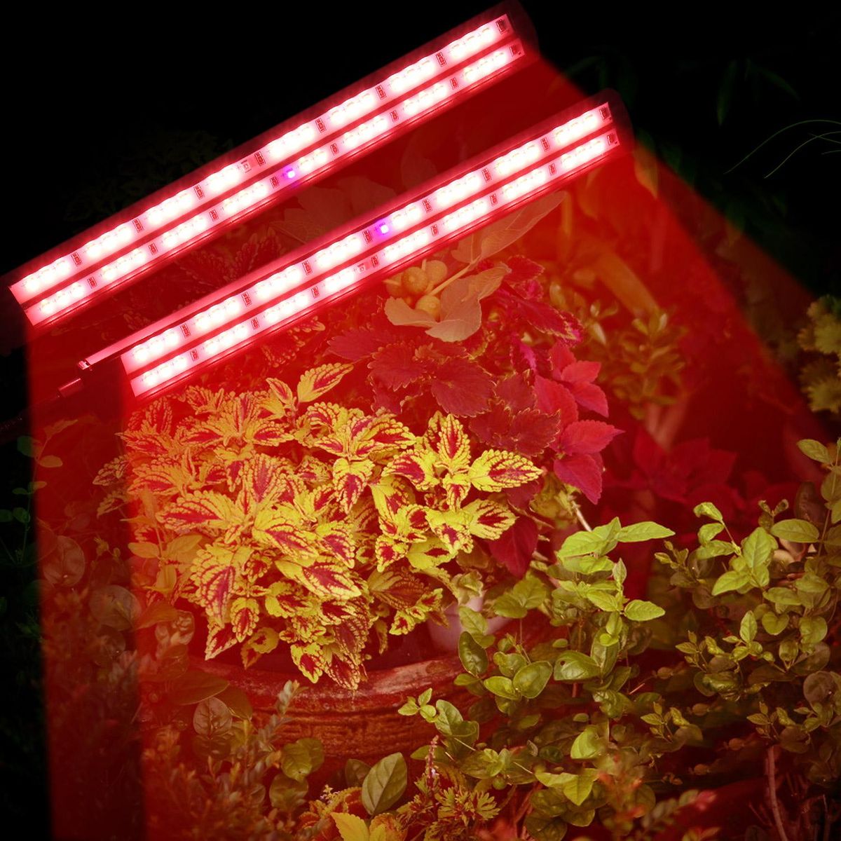 Tomshine 24W Dual Heads LED Plant Growing Light Growth Lamp Red Spectrum Dimmable 6 Brightness Levels Adjustable 3/6/12H Timer Timing Function 3 Switch Modes Flexible Goose Neck Clamp Clip Design for Balcony Greenhouse Garden
