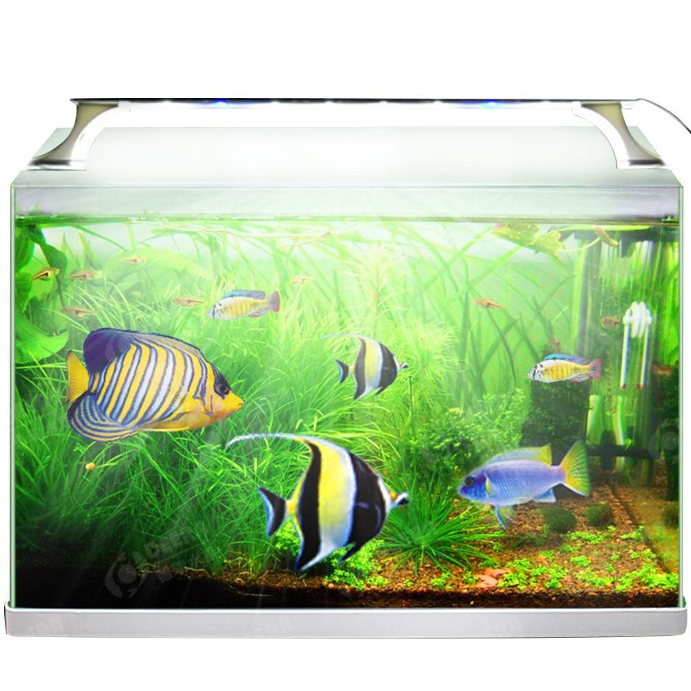 8W Aquarium LED Light Water Lamp Full Spectrum Bracket Lamp For Fish Tank Lighting AC220V EU Plug
