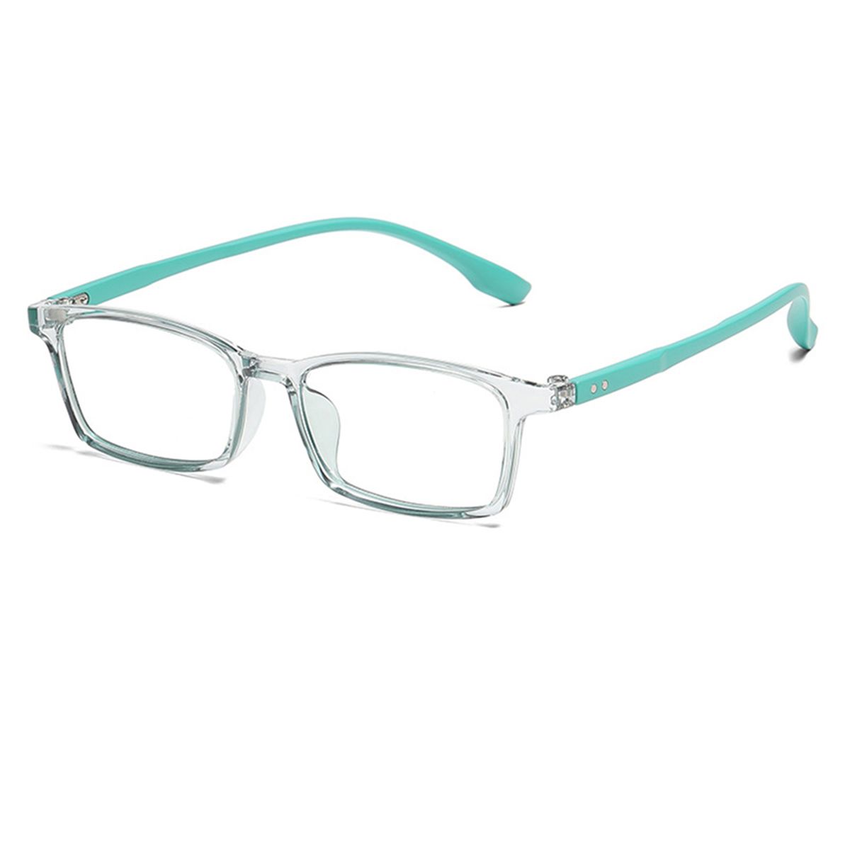 Functional Eye Wearing Flexible Temple