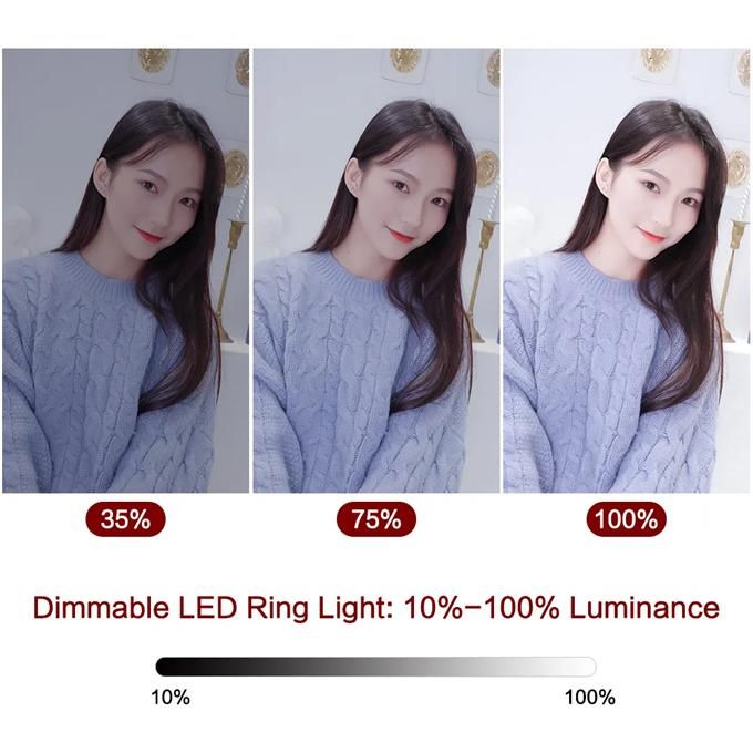 10 Inch Selfie Ring Light with Tripod and Phone Holder for Youtube Live Makeup