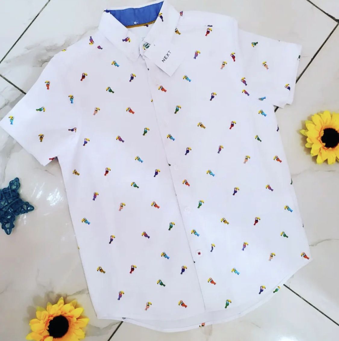Flamingo Short-Sleeve Boys Shirt