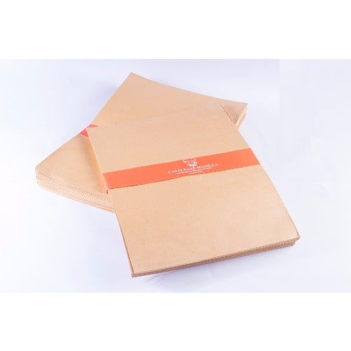 A Superior Quality Paper Envelope  Brown A4 Size Envelope With Seal