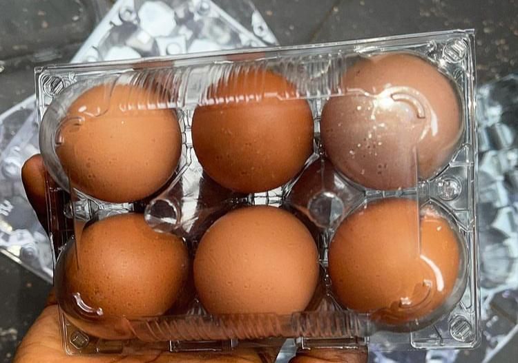 6 Holes Of Transparent Egg Crates