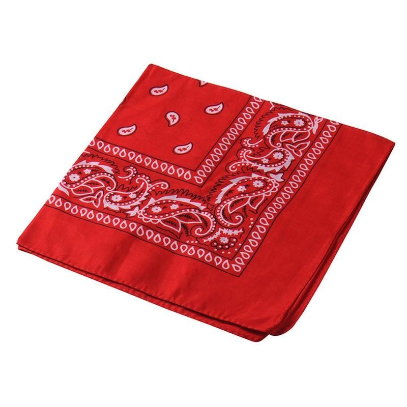 Stylish Paisley Square Bandana Head Wrap Unisex-Sky Blue