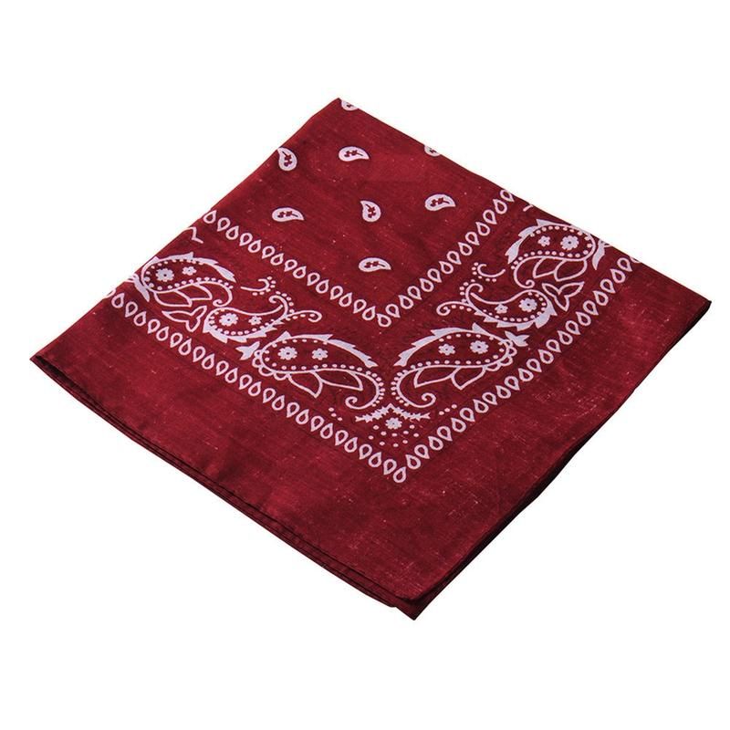 Stylish Paisley Square Bandana Head Wrap Unisex-Sky Blue