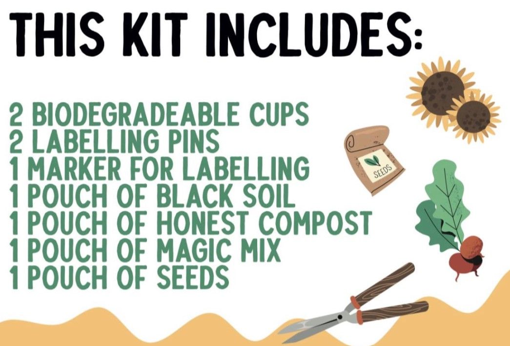 Kids Plant Grow Kit